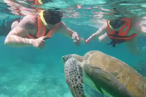 Cancun: Tulum Mayan Site & Snorkel with Sea Turtles, Akumal