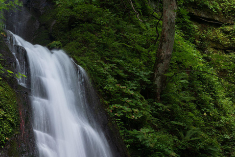 Alanya: Safári em jipe para famílias com visita ao desfiladeiro, rio e aldeiaAlanya: Safári em jipe para toda a família com visita ao desfiladeiro, rio e vila