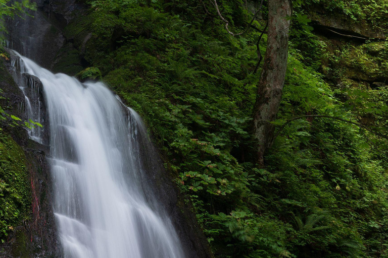Alanya: Safári em jipe para famílias com visita ao desfiladeiro, rio e aldeiaAlanya: Safári em jipe para toda a família com visita ao desfiladeiro, rio e vila