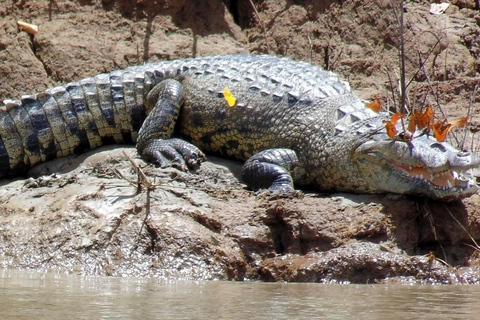 Chiapas: Tour particular de natureza e aventura 5 dias - 4 noitesChiapas: Aventura de 5 dias na fauna e nas cachoeiras