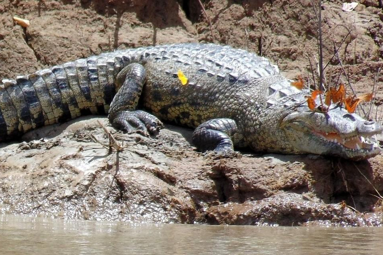 Chiapas: Tour particular de natureza e aventura 5 dias - 4 noitesChiapas: Aventura de 5 dias na fauna e nas cachoeiras