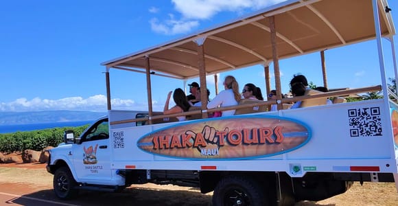 West Maui: Open-Air Highlights Tour from Kāʻanapali