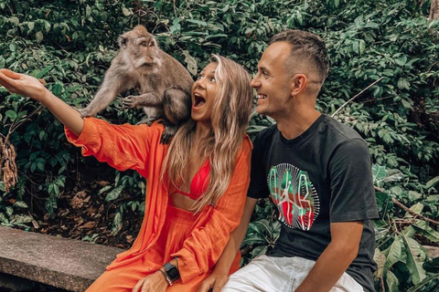 Ubud: Monkey Forest, Rice Terrace, Waterfall Private Tour Private Tour Without Entry Tickets