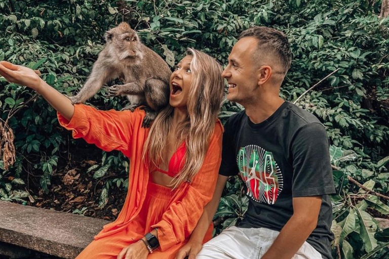 Ubud: Monkey Forest, Rice Terrace, Waterfall Private Tour Private Tour Without Entry Tickets
