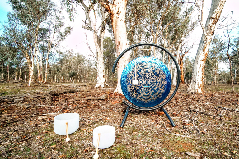 From Perth: Australian Animal Night Safari