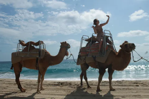 Cabo San Lucas: Increíble aventura en camello en la playa