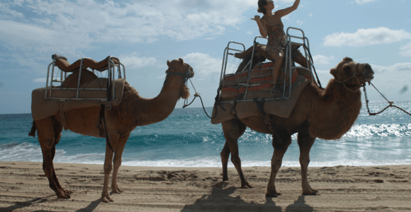 Cabo San Lucas: Amazing Camel Adventure on the Beach