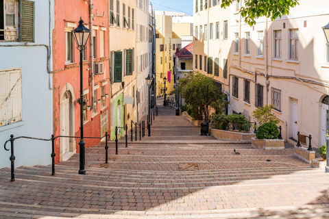 Gibraltar and Puerto Banús Day Trip from Málaga