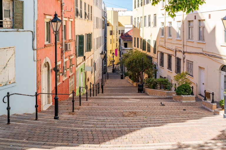 Gibraltar and Puerto Banús Day Trip from Málaga