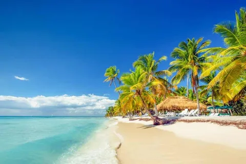 Full-Day Saona Island Excursion with Catamaran Party