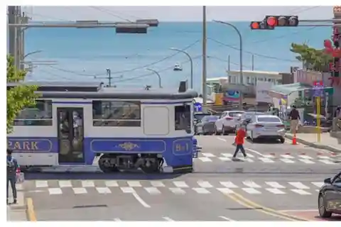 Busan Top Attractions Private tour with Tickets