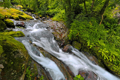 Batumi: Traditional Dinner, Wine & Dance with Waterfalls