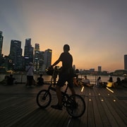 Singapore: Light to Night Bike Tour