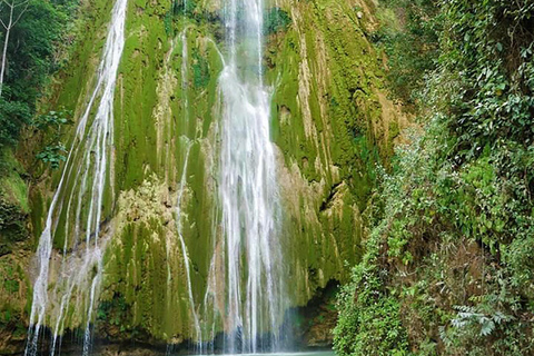 Samaná Ganztag, Insel Baracardi, Pferde, Zitronenwasserfall