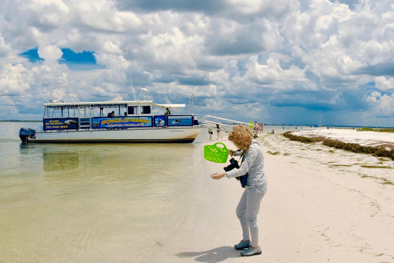 Tarpon Springs: Evening Dolphin Cruise Tarpon Springs: Sunset Dolphin Cruise with Refreshments
