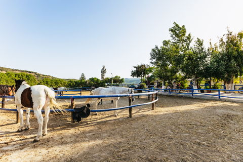 Heraklion: Finikia Horse Riding Tour with Lunch or Dinner