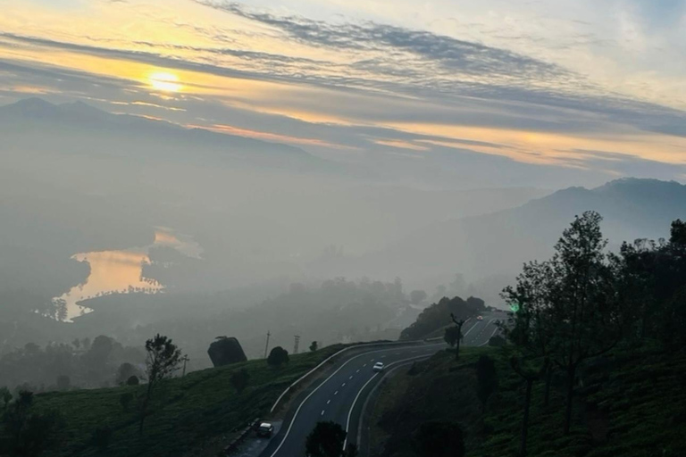 De Kochi a Munnar: Eravikulam, finca de té y cascadas