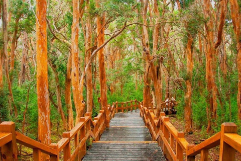 Bariloche Victoria Island and Arrayanes Forest Regular service