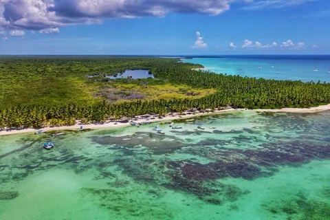 Full-Day Cruise of Isla Saona from Santo Domingo with Lunch