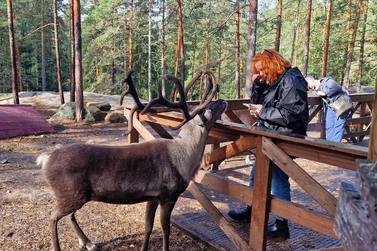 Helsinki: Buggy Ride, Reindeer Farm Visit, and Picnic