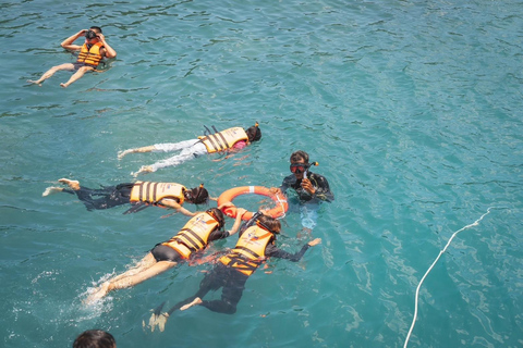 Koh Samui: Excursión en catamarán a motor con delfines y 3 islas