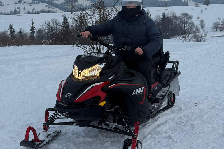 Zakopane Snowmobile, Quad or Buggy Ride & Treetop Skywalk Snowmobile, Quad or Buggy Ride & Skywalk (No Rental)