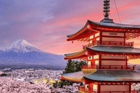 From Tokyo: Mount Fuji Private Day Tour with English Driver Toyota Vellfire