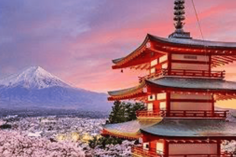 Von Tokio aus: Mount Fuji Private Tagestour mit englischem FahrerToyota Vellfire