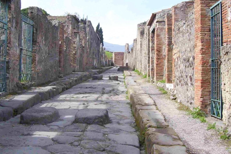 Naples and Pompeii: Half-Day Tour From Naples: Tour in Spanish with Pickup from Train Station