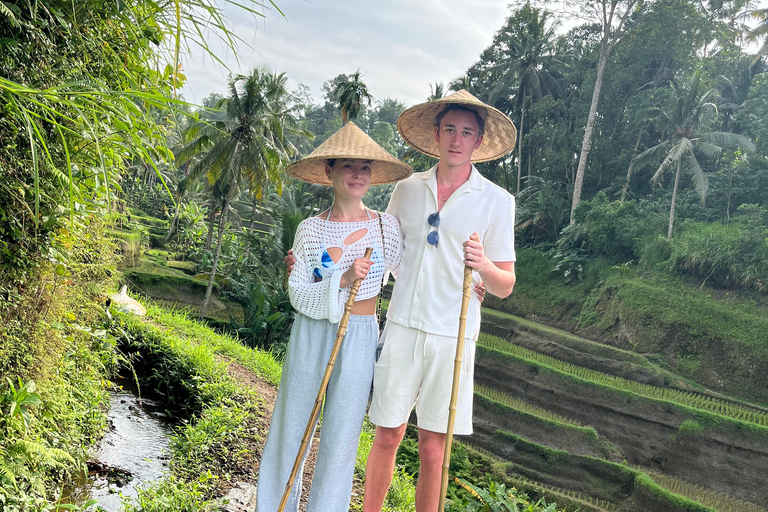 Ubud: Private Half-Day Tour Rice Terrace, Temple & Waterfall Private Half-Day Tour (With Entrance Tickets)