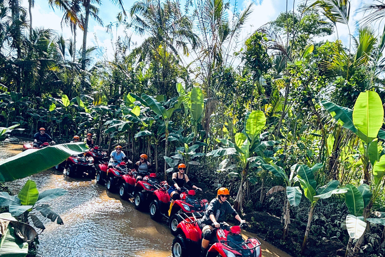 Ubud : Visite guidée d&#039;une aventure en VTT et en quadExcursion en VTT dans la forêt de singes et le temple de l&#039;eau