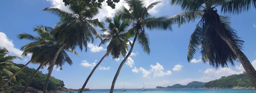 Visite privée personnalisée : explorez Mahé au-delà de l'ordinaire