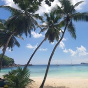 Private Customized Tour: Explore Mahe beyond the ordinary