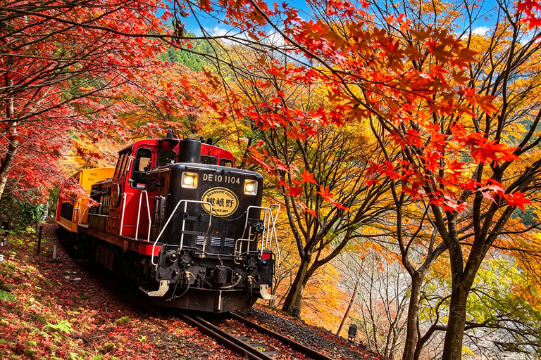 Kyoto: Arashiyama, Sanzen-in & Kifune Shrine Day Trip Departure from Osaka (Basic Package)
