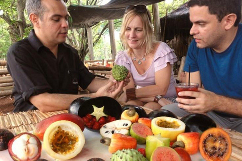Salvador : visite de dégustation de fruits tropicaux dans un marché localDégustation privée de fruits
