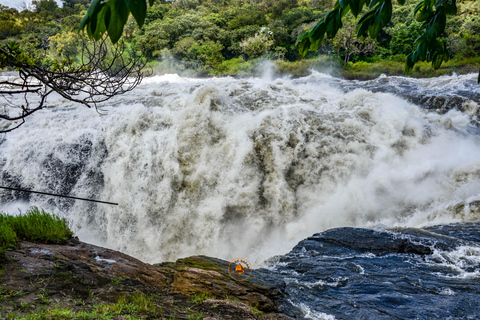 Uganda 10-tägige Wild- und Primaten-Safari.