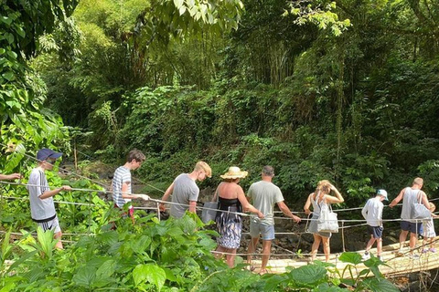 St. Vincent: Dark View Falls Tour