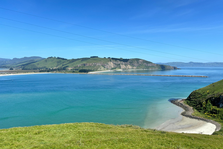 Private Dunedin City Highlights and Otago Peninsula Day Tour Private Dunedin city & Otago Peninsula day Tour (up to 4)