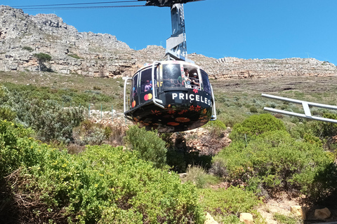 Cape Town: Table Mountain Cable Car Ticket