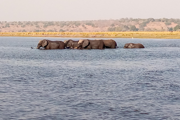Operador turístico, cruceros fluviales y safaris en Chobe
