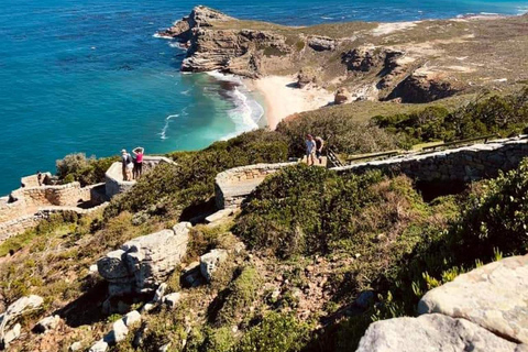 Cape of Good Hope and Boulders Beach Private Tour