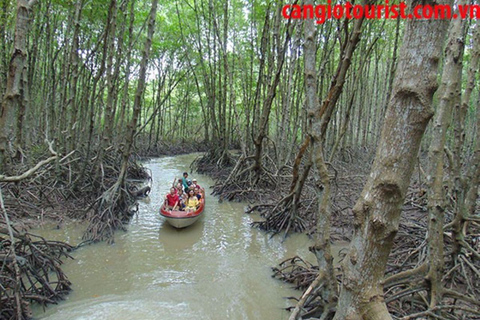 Can Gio Mangrovebos en Apeneiland dagvullende tour