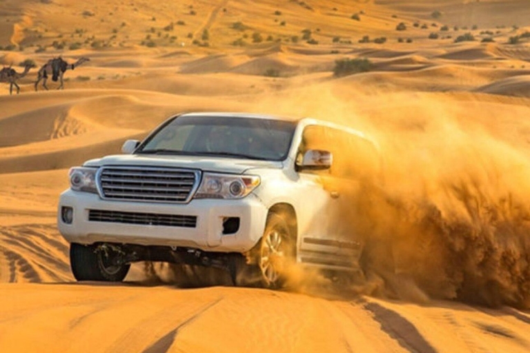 Doha : Safari dans le désert, balade en quad, à dos de chameau et planche à sableDoha : Safari dans le désert, descente des dunes à dos de chameau, planche à sable