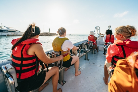 Bucht von Palma: 1-stündiges Speedboat-AbenteuerBucht von Palma: Speedboat-Abenteuer
