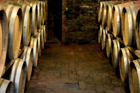 From Siena: Brunello di Montalcino Wine Tour by Minivan