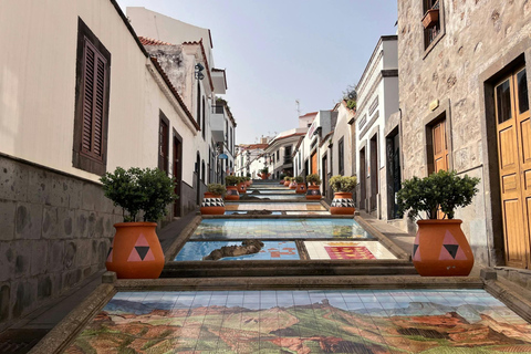 Visite du nord de la Grande Canarie et du jardin botanique