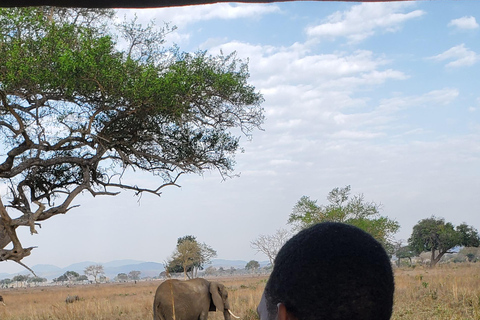 TAGESTOUR ZUM MIKUMI NATIONALPARK VON SANSIBAR AUS PER FLUG