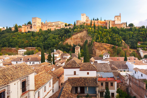 Granada Excursion: Albayzín and Sacromonte Tour from Estepona and Marbella
