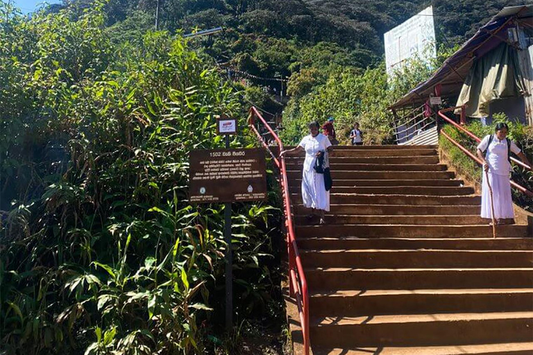 From Kandy: 2-Day Adam’s Peak Hike & Drop to Ella