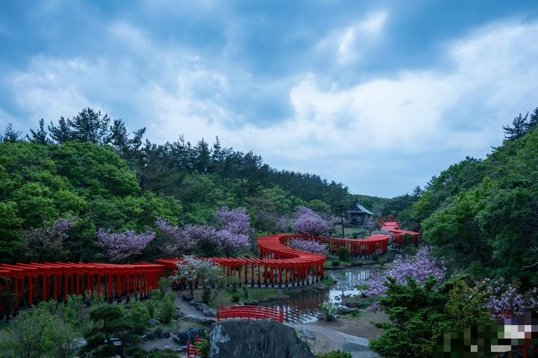 Aomori: Private Day Trip from airport/hotel/port (8h)